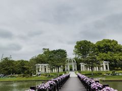 -上海鲜花港
