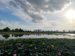 -哈尔滨大剧院