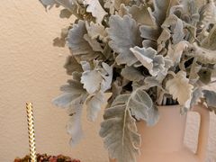 -伊斯坦布尔土耳其清真咖啡餐厅