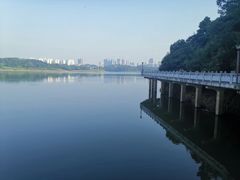 -酒仙湖景区