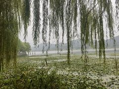 -鸣鹤古镇