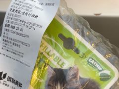 -萌兽医馆·眼科·异宠专科(三里屯店)