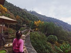 -韬光茶庵