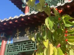 -黑龙江省森林植物园
