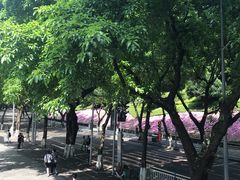 -廖记老砂锅(上清寺店)