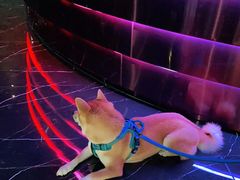 -金乐迪 PARTY KTV(熙街店)