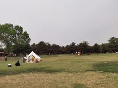 -石家庄市植物园