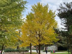 -元大都城垣遗址公园