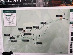-天目山大树王景区