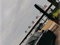 -大湾区中央湿地公园-十九涌