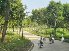 -太阳岛旅游度假区