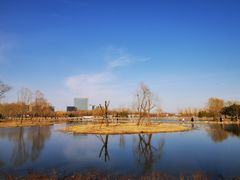 -大兴滨河森林公园