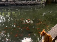 -西园戒幢律寺