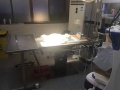 -安安宠医·安宠宠物医院