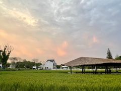 -MUSEO COFFEE咖啡博物馆