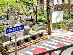-沂蒙山旅游区云蒙景区(蒙山国家森林公园)