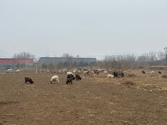 -定窑考古遗址公园