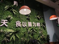-菌乡缘·野生菌蒸汽鱼火锅(江边夜市店)