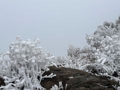 -金子山原生态旅游风景区