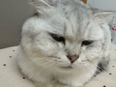 -嘉馨宠物医院·CT影像转诊·心脏科·犬猫全科诊疗中心(下沙大学城院区)