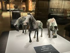 -邯郸市博物馆(新馆)