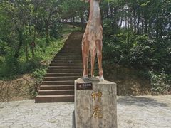-仙岛湖旅游风景区