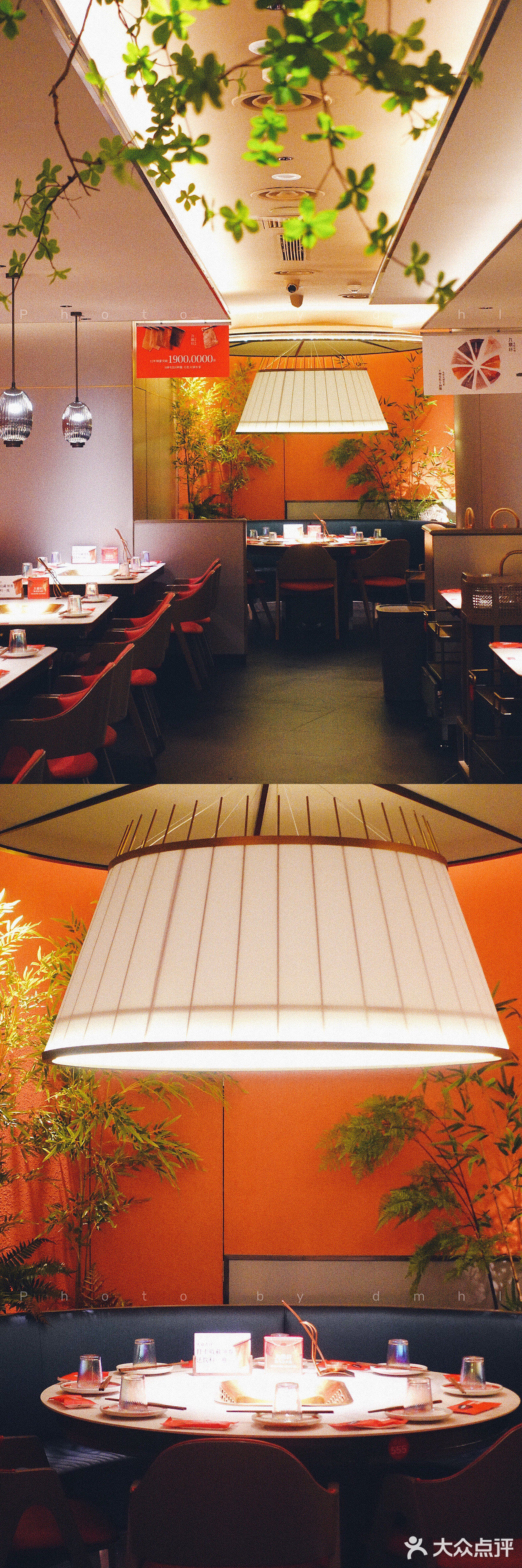 吃火锅|首选九鼎轩脆毛肚火锅