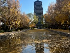-玲珑塔公园