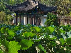 -莲湖公园