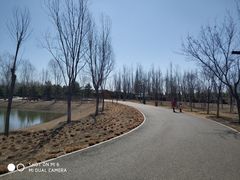 -东郊湿地公园