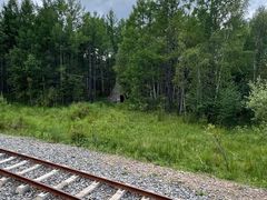 -莫尔道嘎国家森林公园