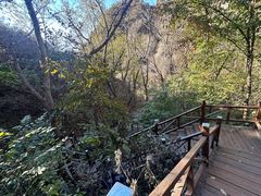 -大岭沟猕猴桃谷风景区