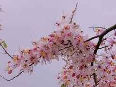 -白石龙音乐公园