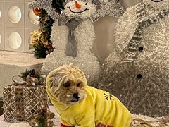 -紫荆广场·花漫里