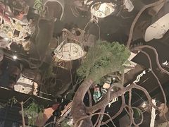 -桂满陇·海市蜃楼·黑金(国金店)