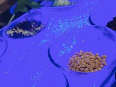 -长沙三景韦尔斯利酒店·Oval全日制餐厅自助餐