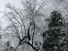-九峰山