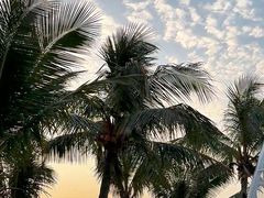 -玫瑰海岸文化旅游度假区