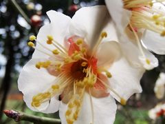 -杭州六谷生态休闲农庄有限公司