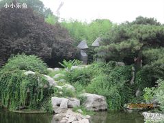 -紫竹院公园冰场