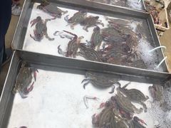 -牛头崖大集