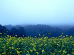 android_upload_pic-广州市石门国家森林公园