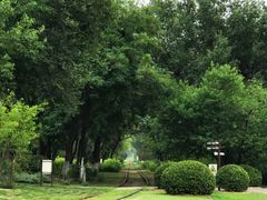 -永定河休闲森林公园