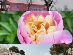 -幕燕滨江·长江观音景区