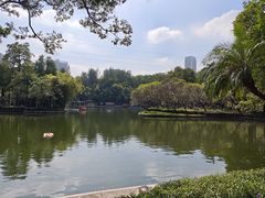 -晓港公园