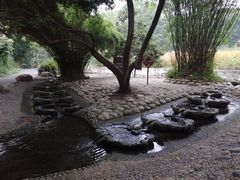 -成都市活水公园