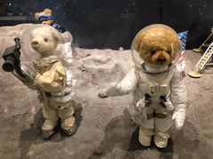 -济州岛泰迪熊博物馆