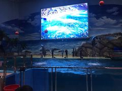 -福州罗源湾海洋世界旅游区