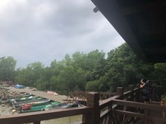 -东寨港红树林旅游区