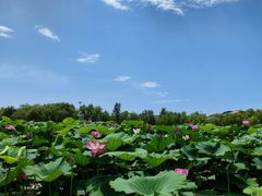 -杜氏旅游度假区